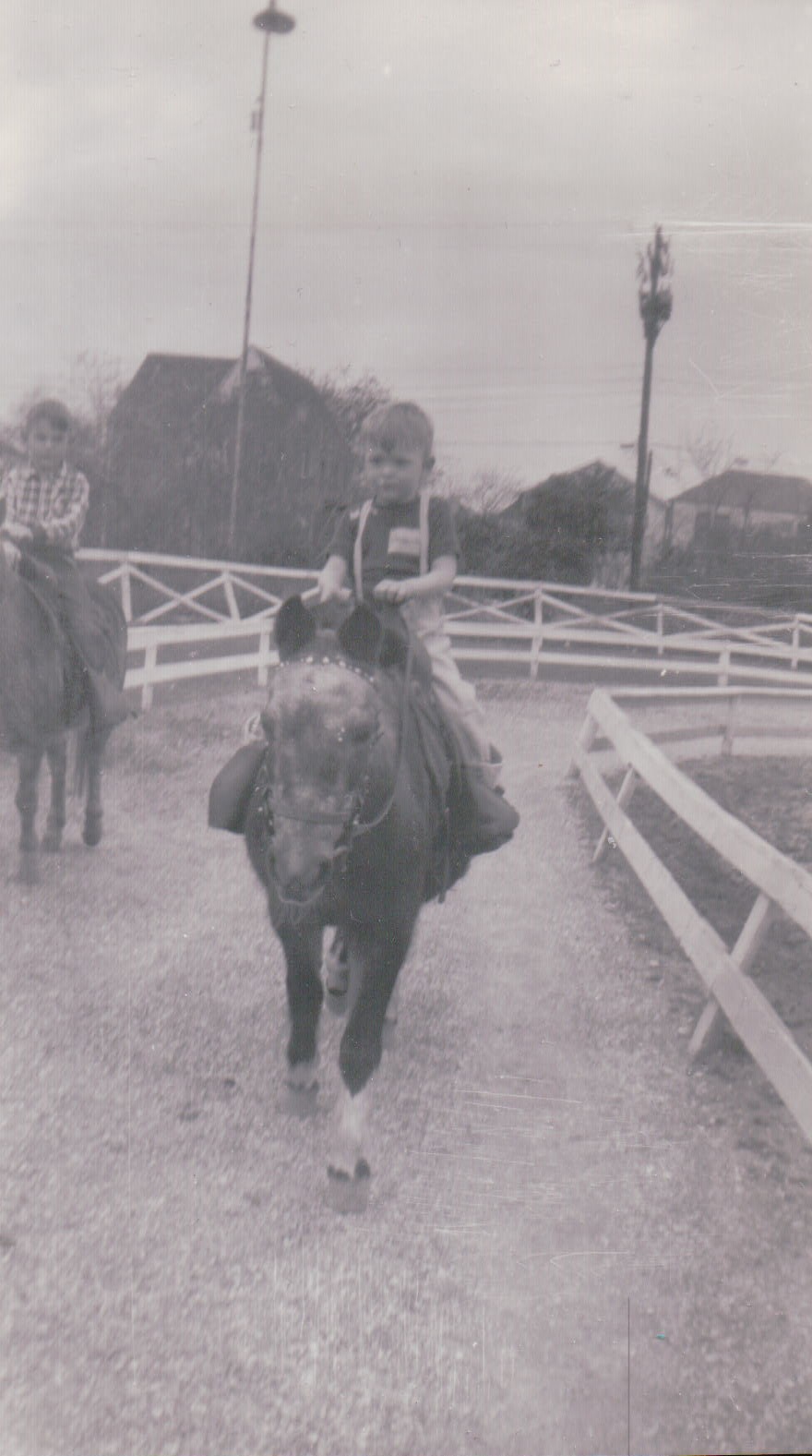 1096.JPG  by Terry Kelly Photography