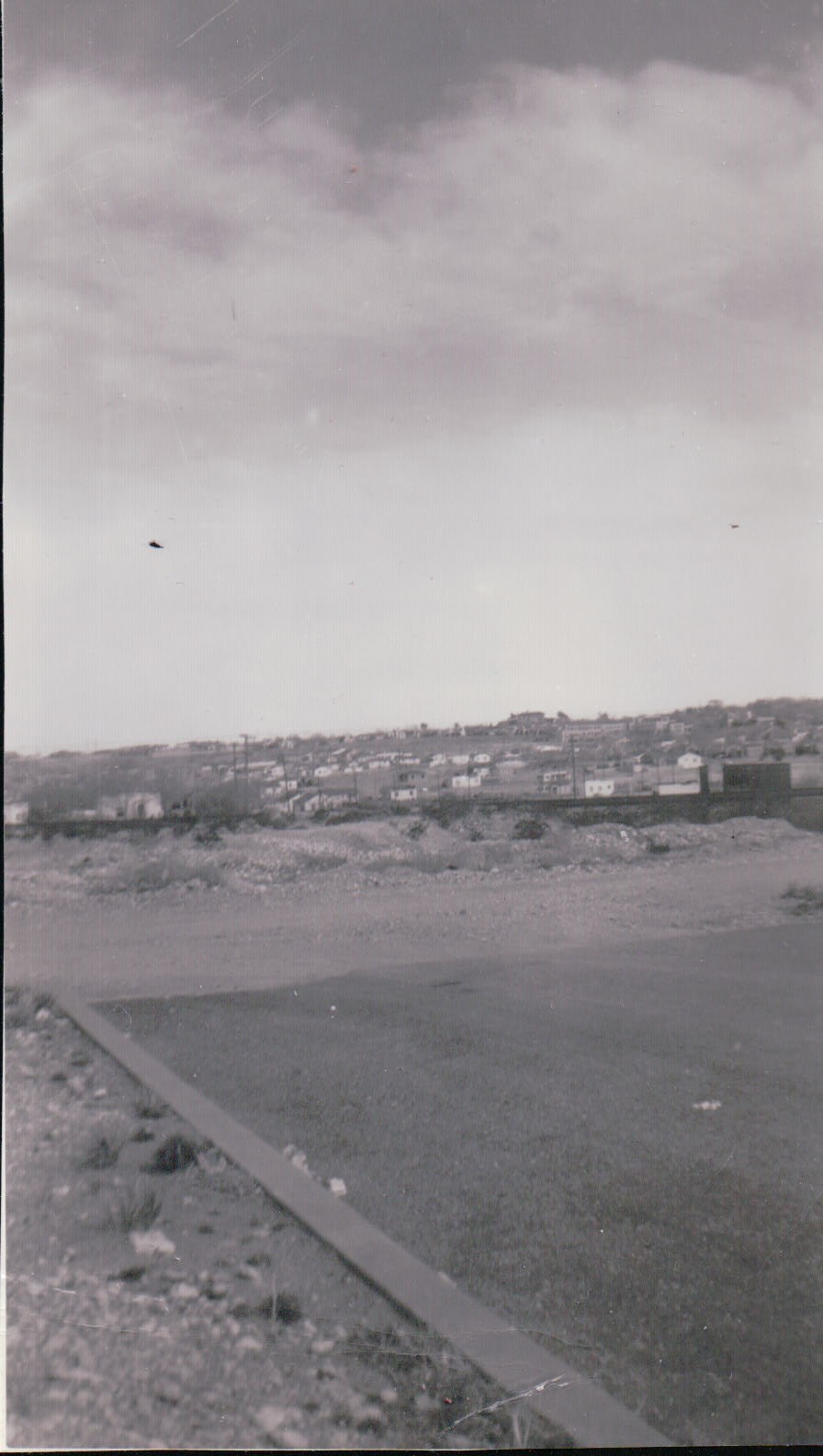 1052.JPG  by Terry Kelly Photography