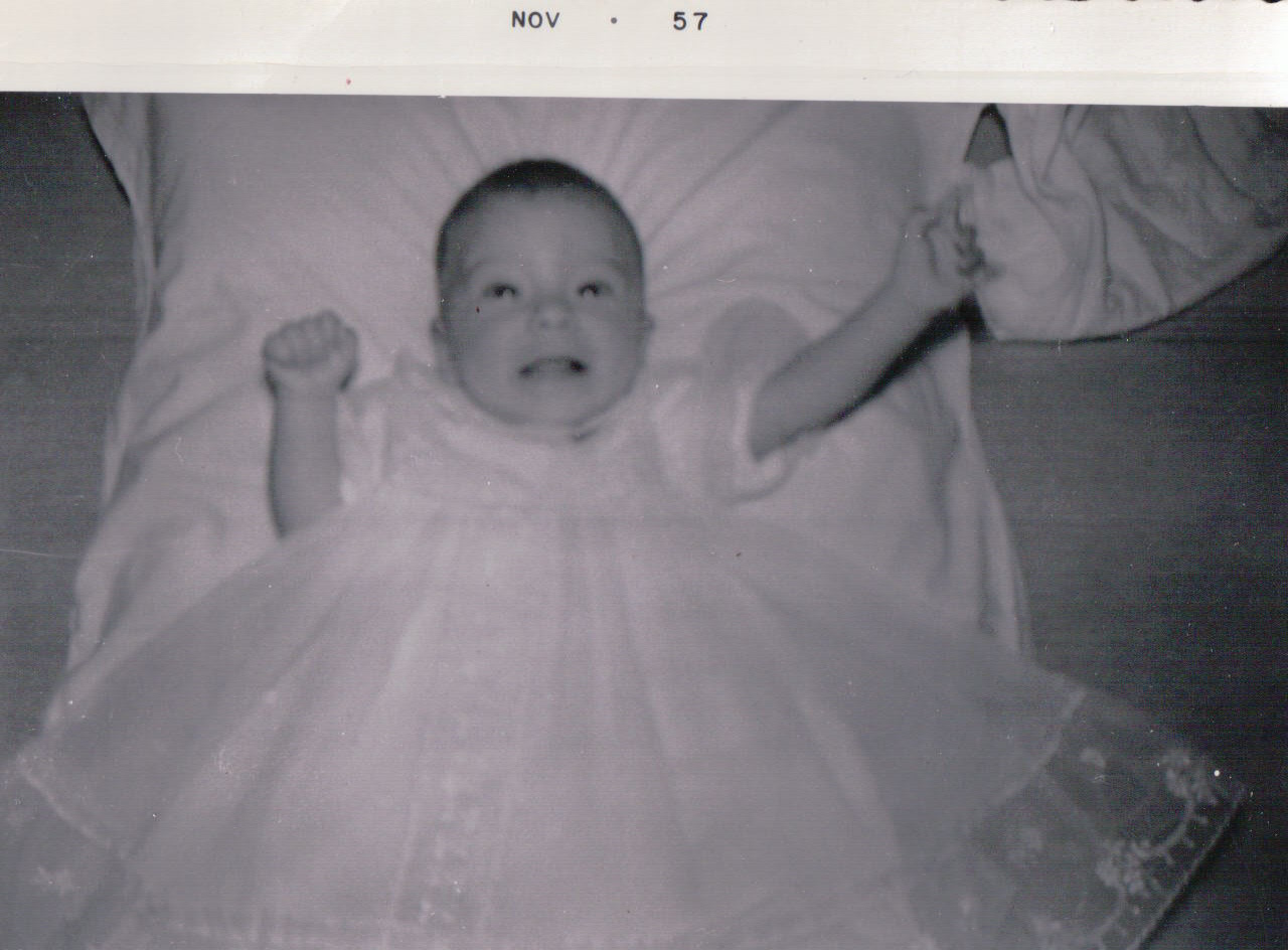 092.JPG  by Terry Kelly Photography