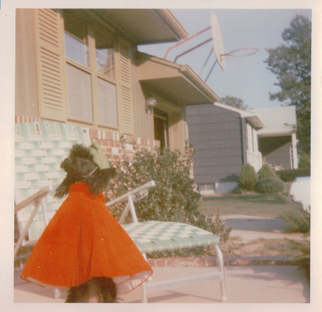 137.JPG  by Terry Kelly Photography