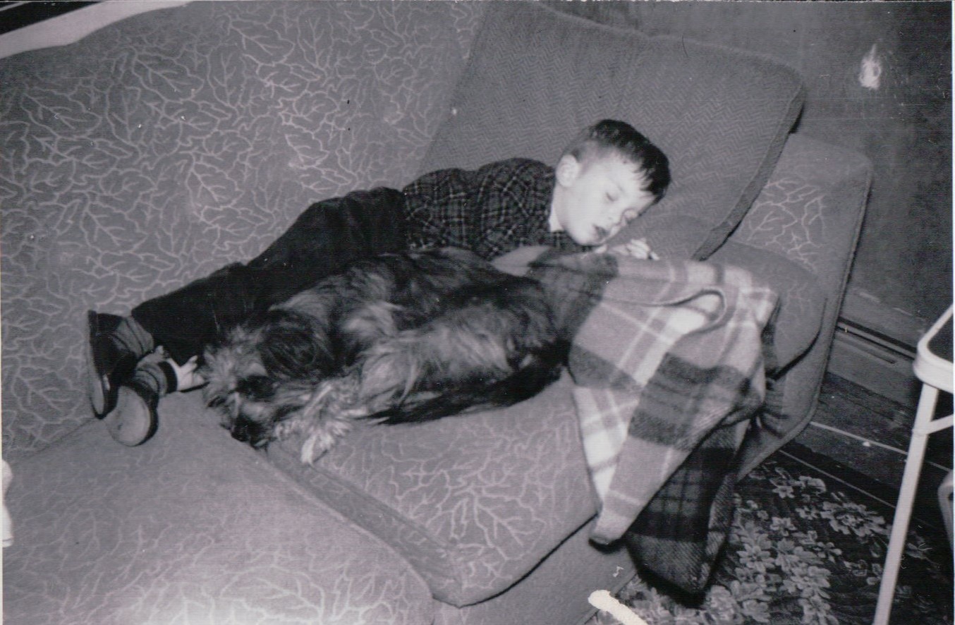 274.JPG  by Terry Kelly Photography