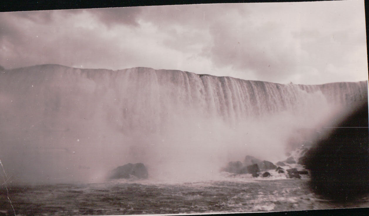 1299.JPG  by Terry Kelly Photography