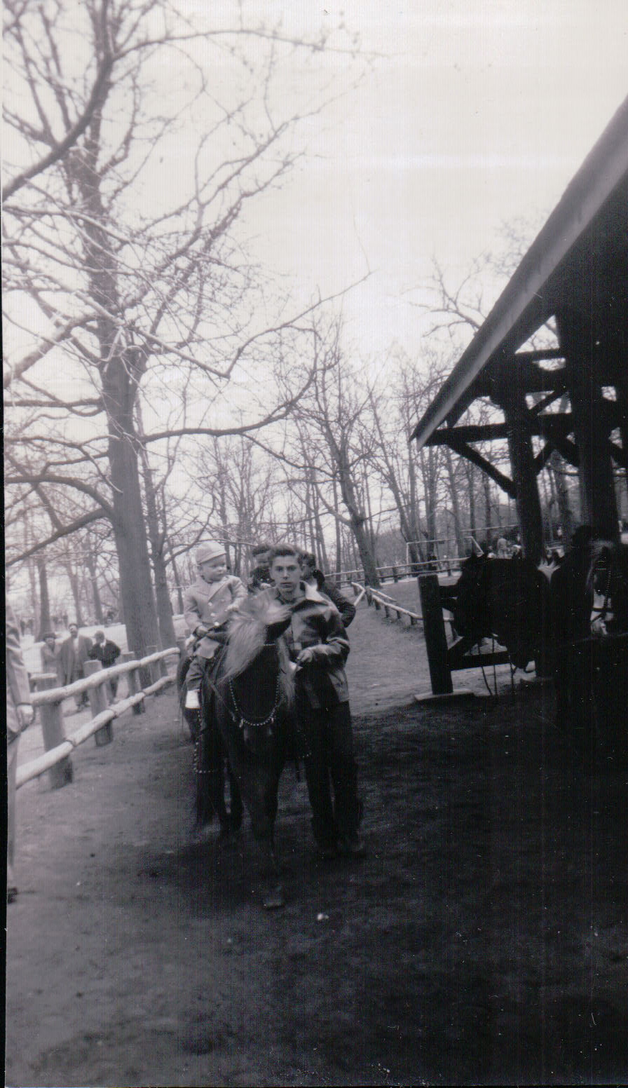 1124.JPG  by Terry Kelly Photography