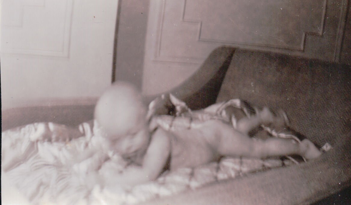 1101.JPG  by Terry Kelly Photography