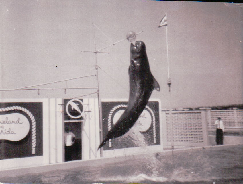 174.JPG  by Terry Kelly Photography