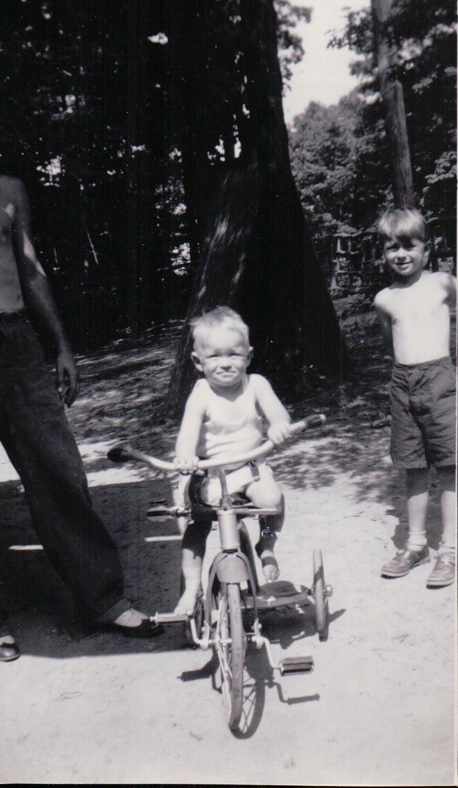 1111.JPG  by Terry Kelly Photography