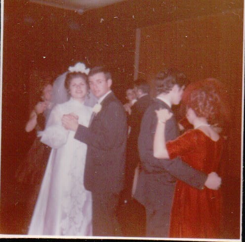 340.JPG  by Terry Kelly Photography