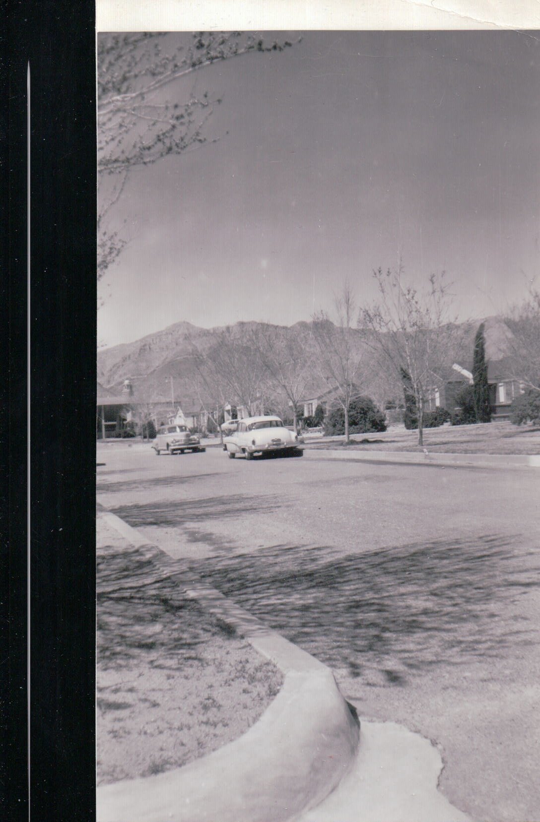 1056.JPG  by Terry Kelly Photography