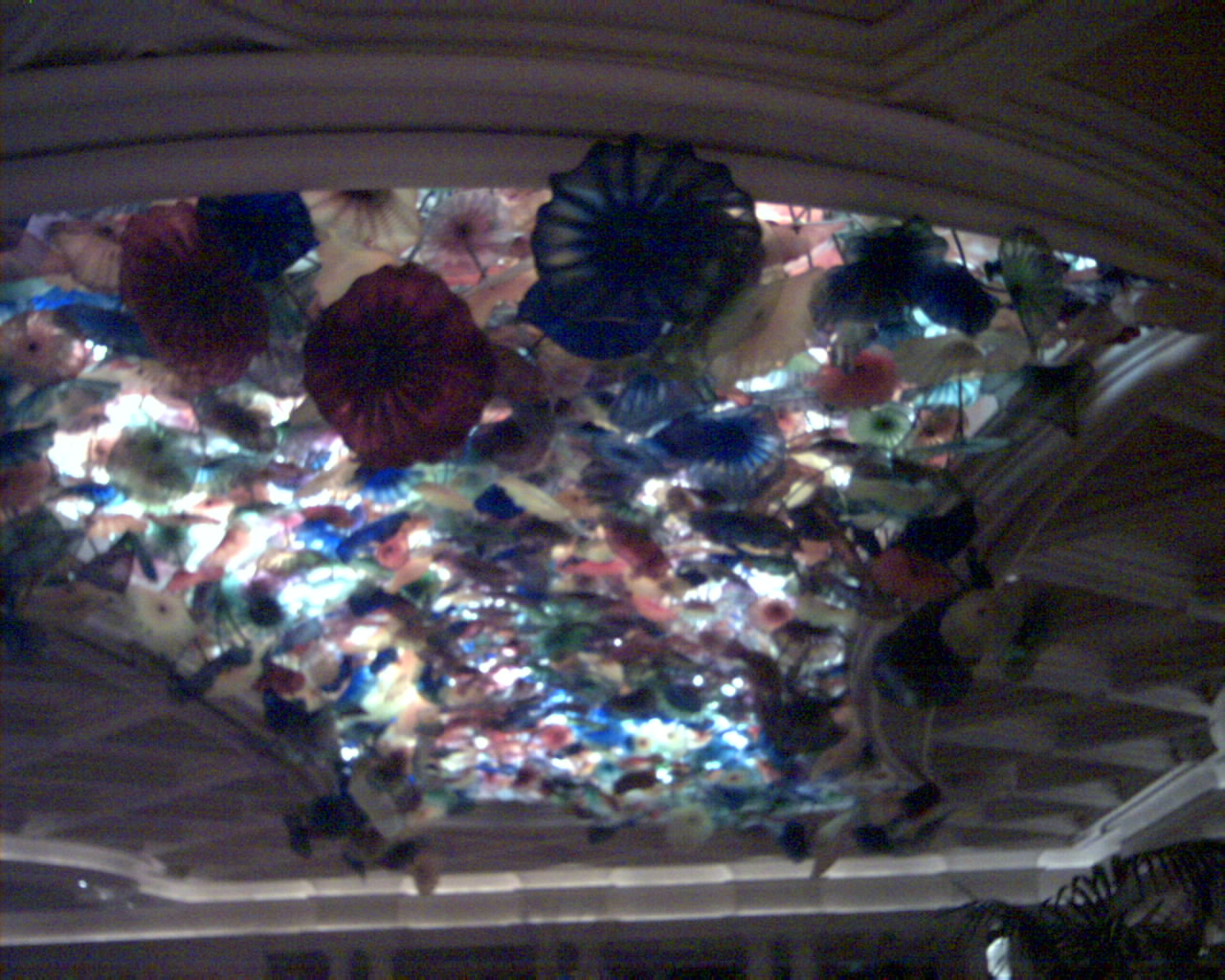 EXIF/JPEG image with thumb EXIF/JPEG image with thumb by Terry Kelly Photography