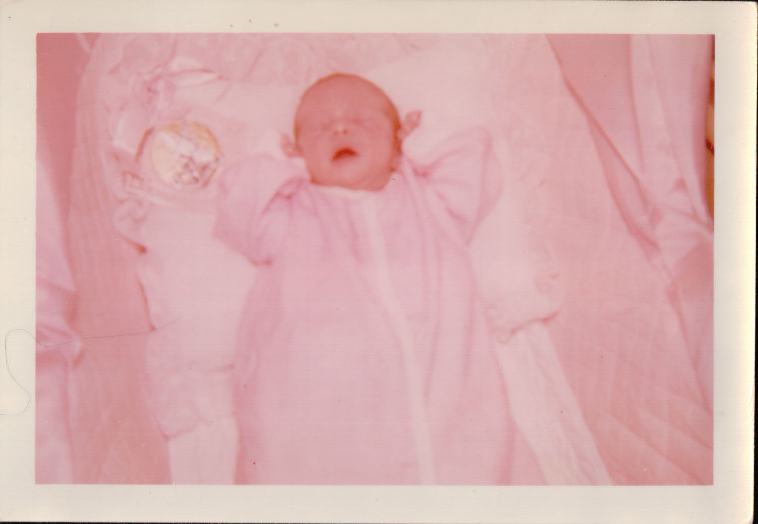 498.JPG  by Terry Kelly Photography