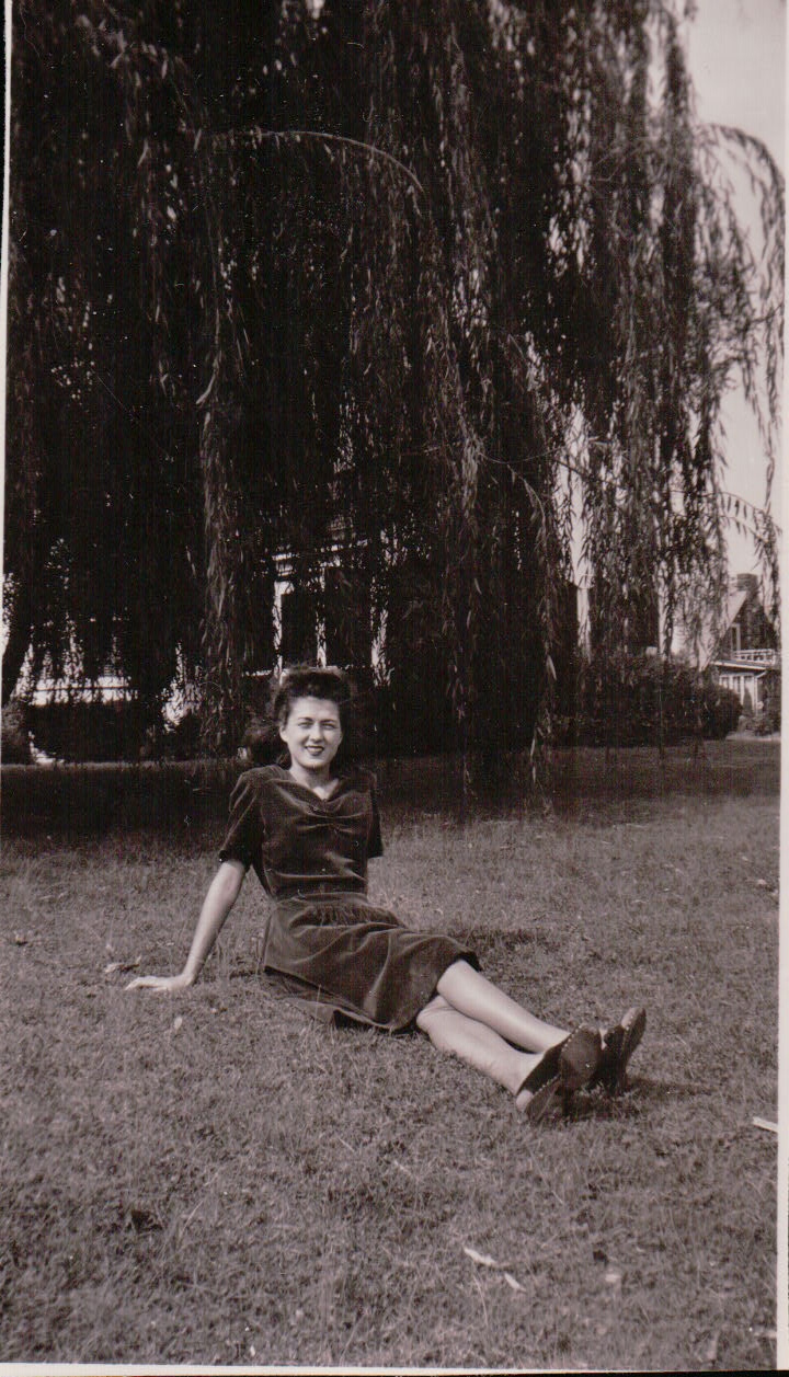 1191.JPG  by Terry Kelly Photography