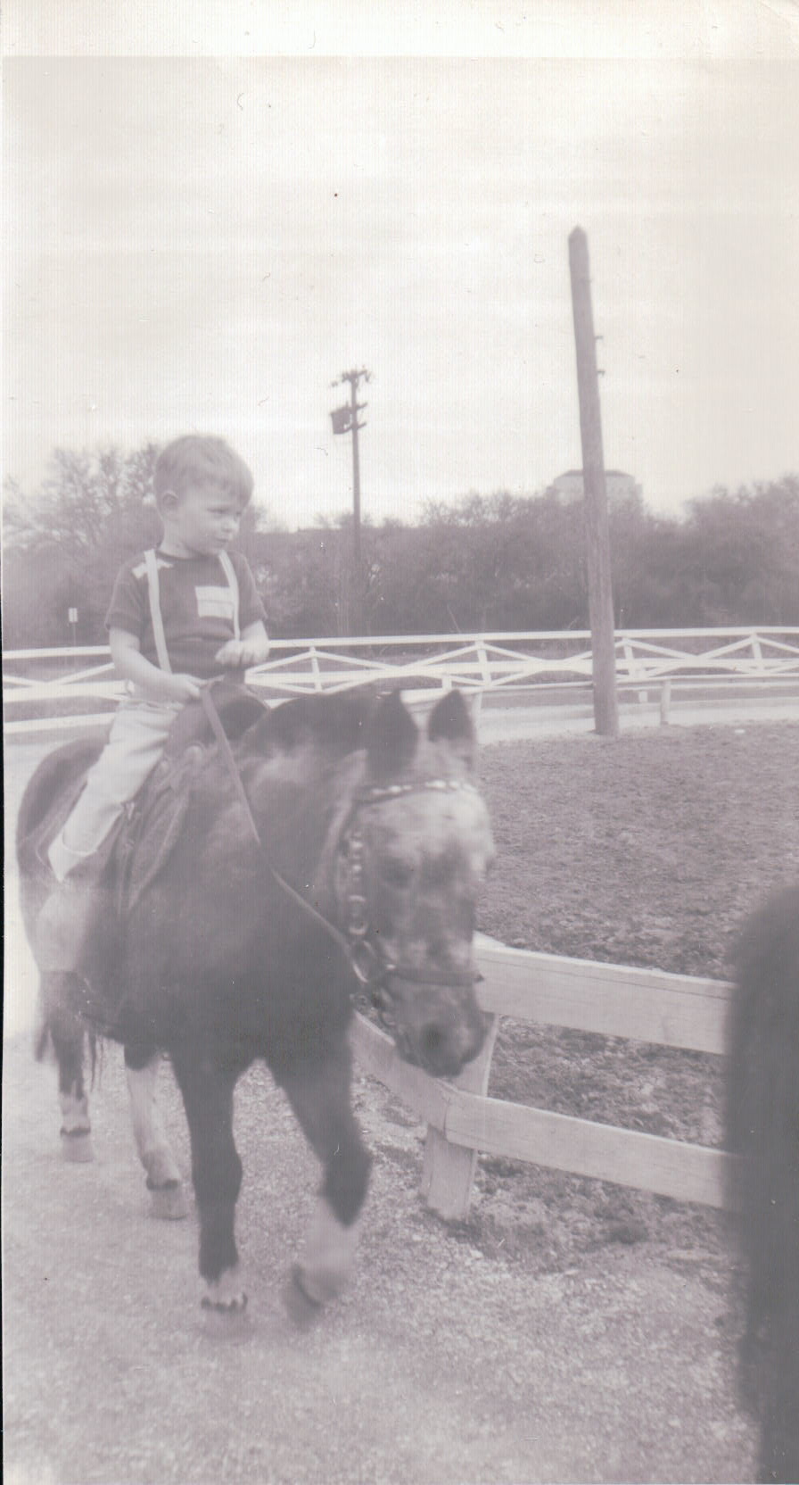 510.JPG  by Terry Kelly Photography