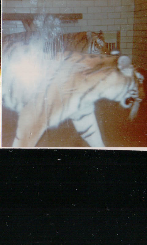 456.JPG  by Terry Kelly Photography