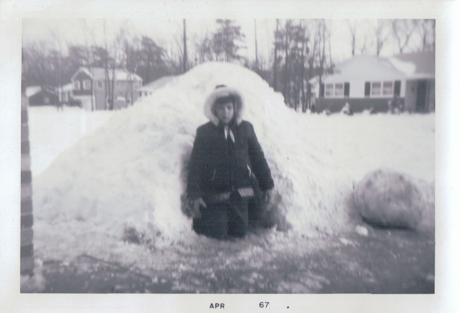 992.JPG  by Terry Kelly Photography