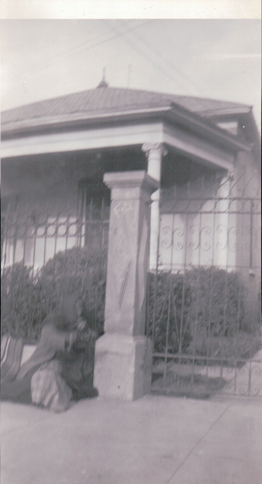 508.JPG  by Terry Kelly Photography