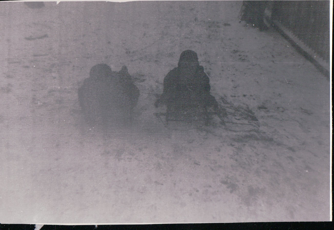 662.JPG  by Terry Kelly Photography