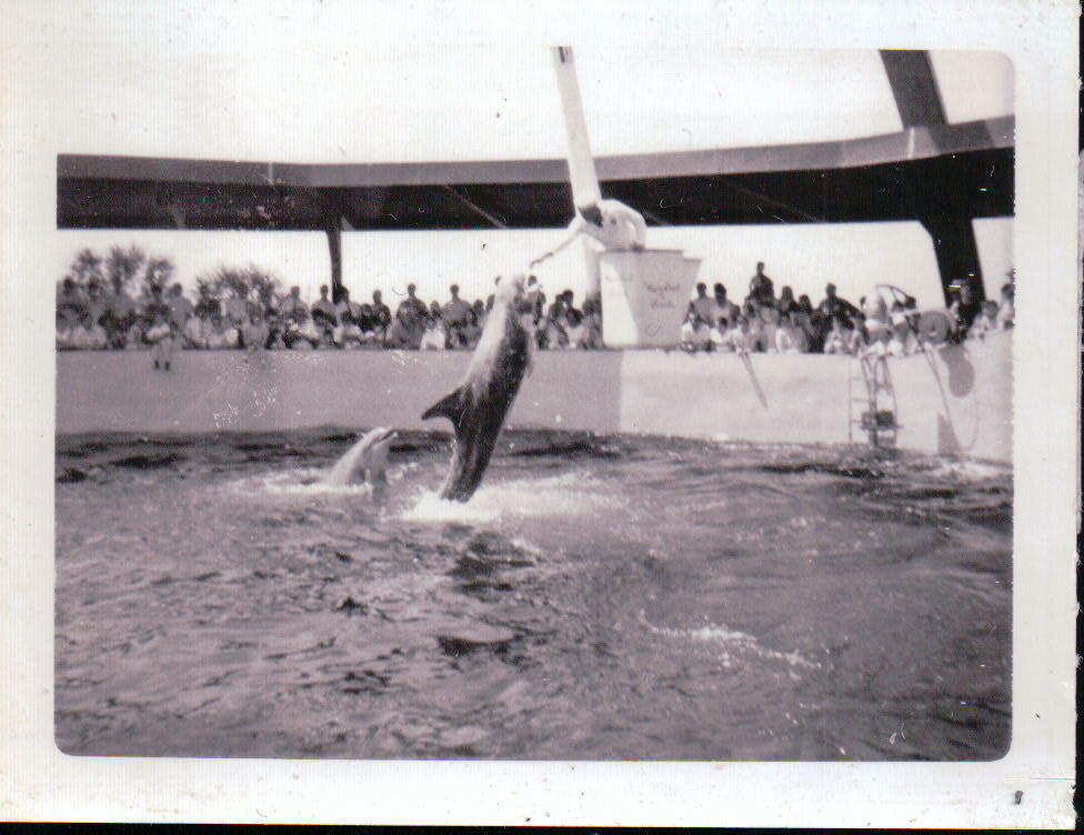 389.JPG  by Terry Kelly Photography