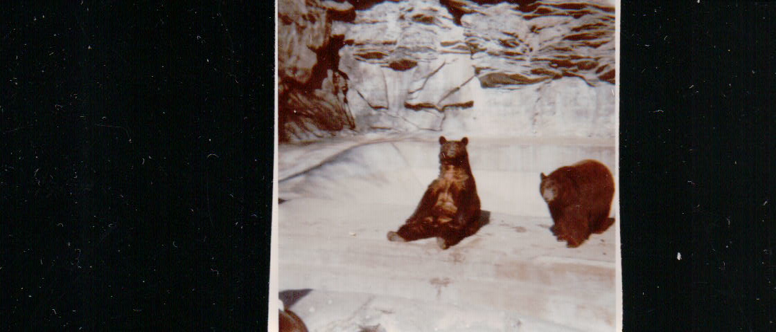 439.JPG  by Terry Kelly Photography