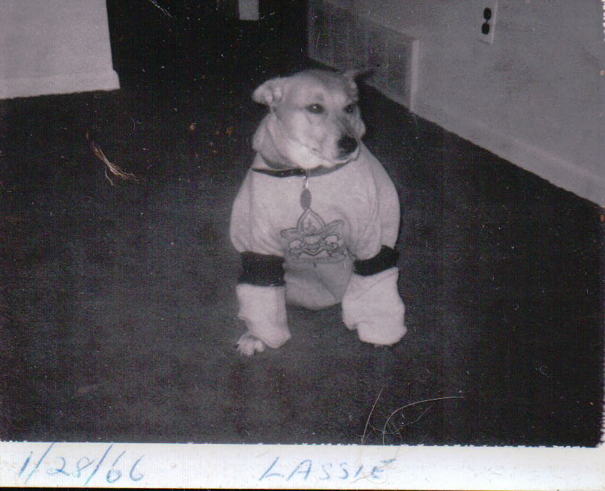 165.JPG  by Terry Kelly Photography