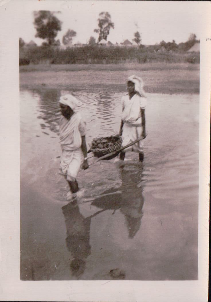 799.JPG  by Terry Kelly Photography