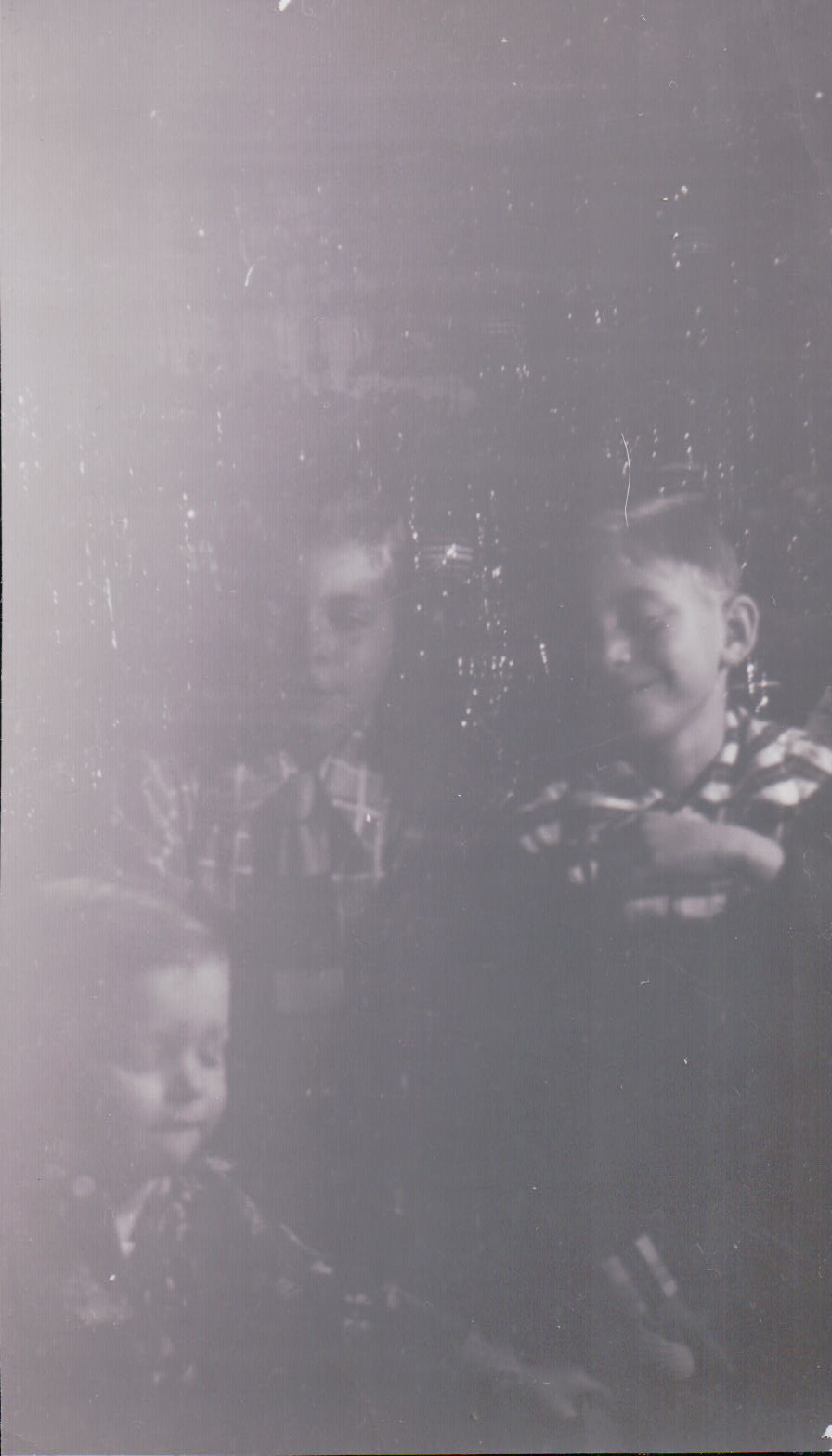 291.JPG  by Terry Kelly Photography