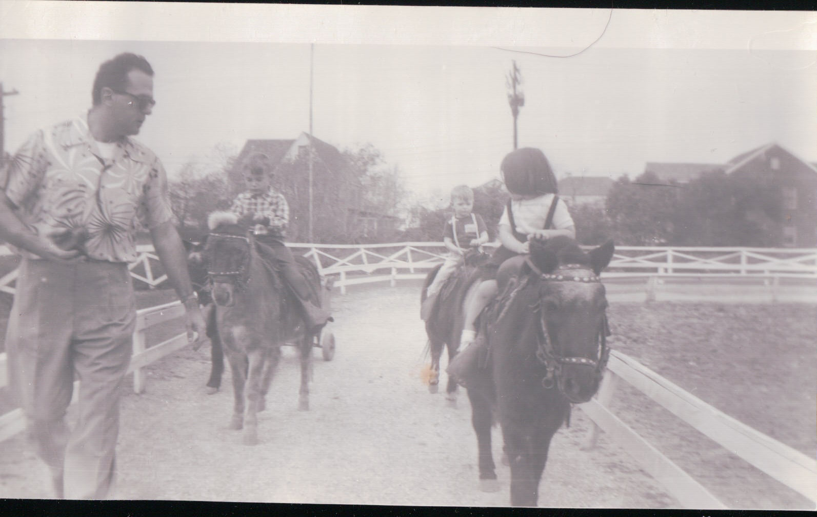 260.JPG  by Terry Kelly Photography