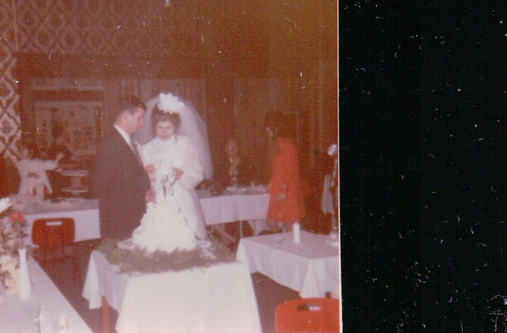 341.JPG  by Terry Kelly Photography