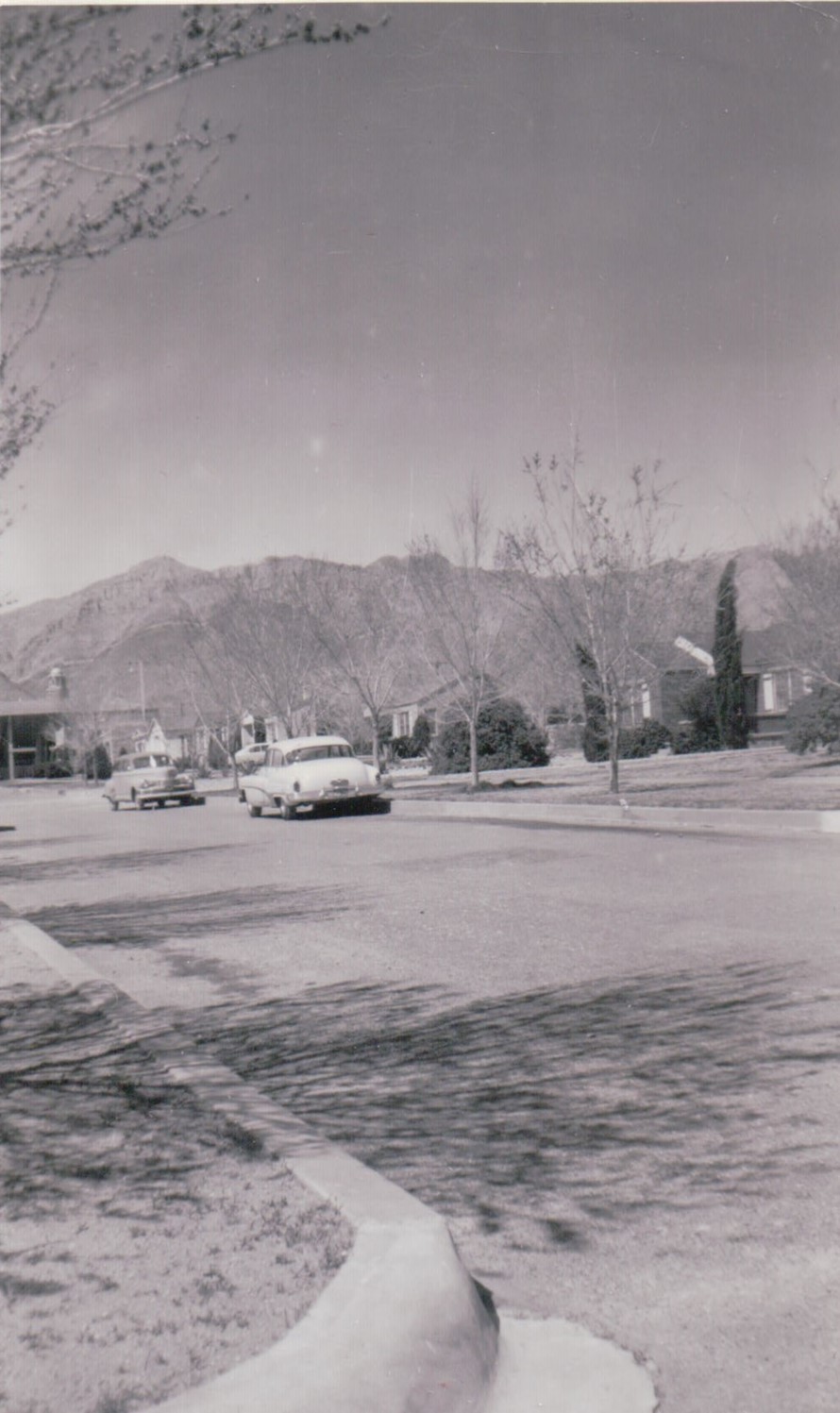 1056.JPG  by Terry Kelly Photography