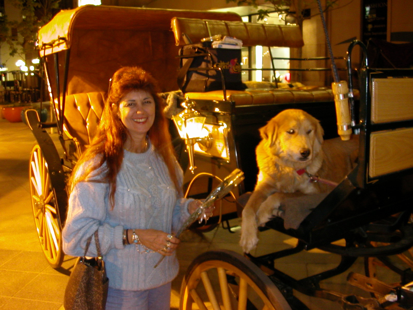                       by Terry Kelly Photography