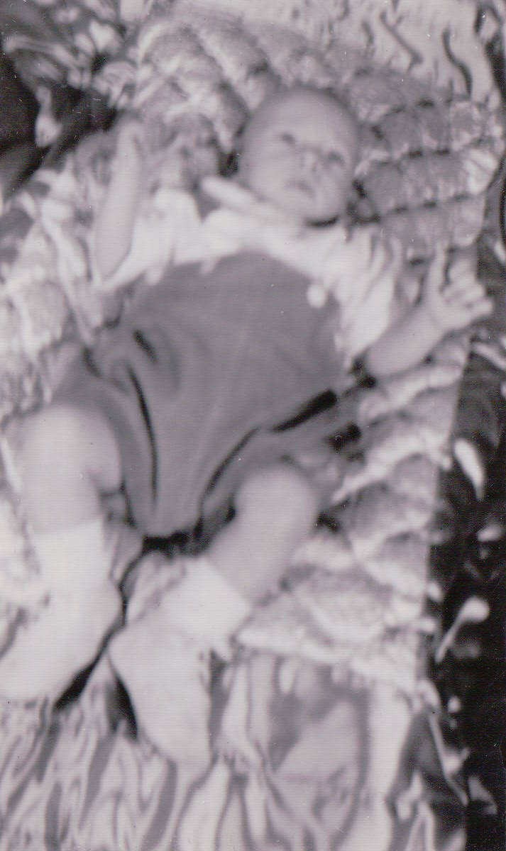 1086.JPG  by Terry Kelly Photography