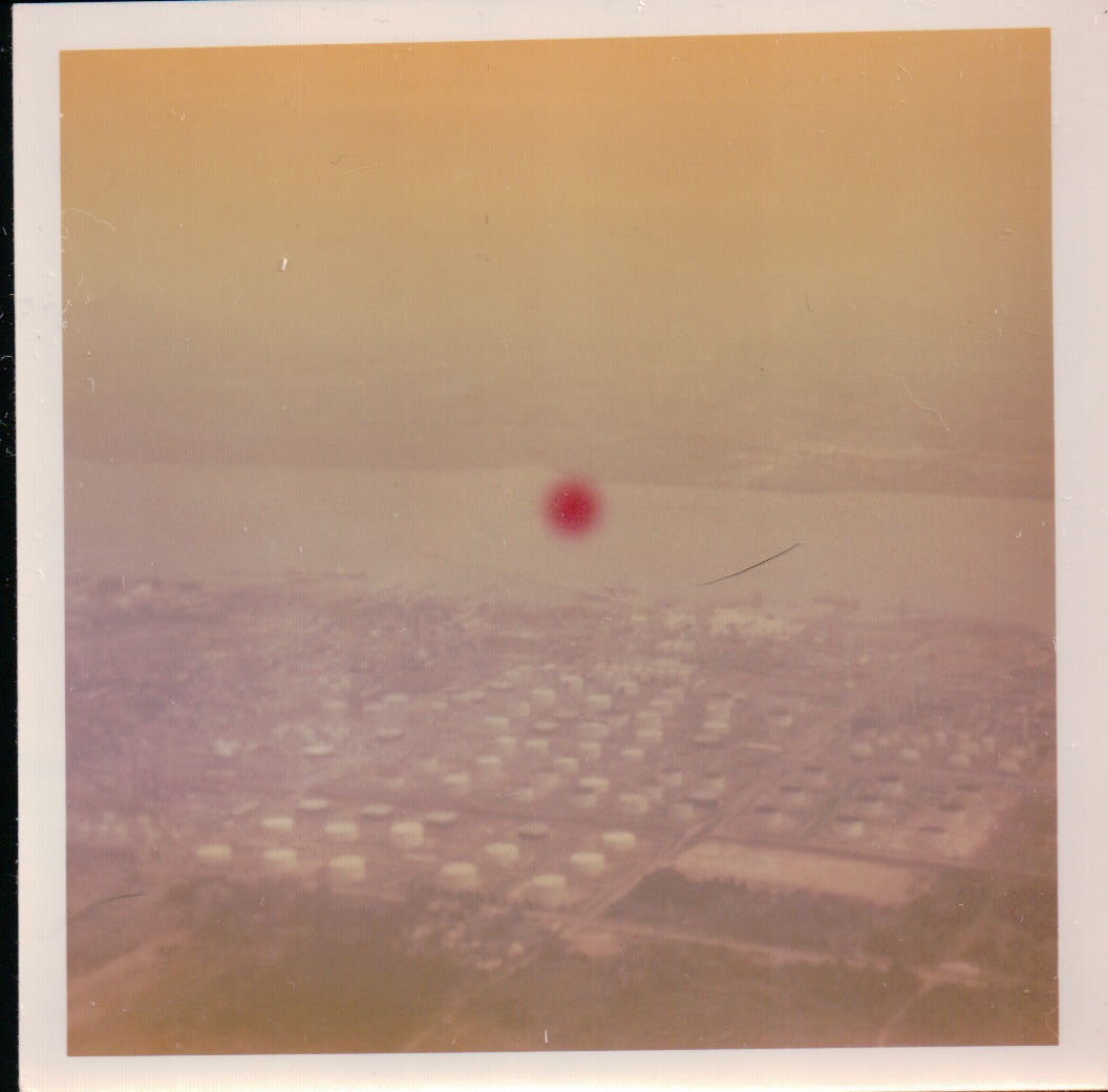 316.JPG  by Terry Kelly Photography