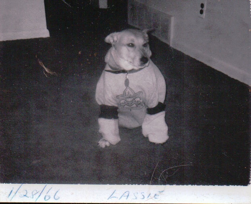 165.JPG  by Terry Kelly Photography