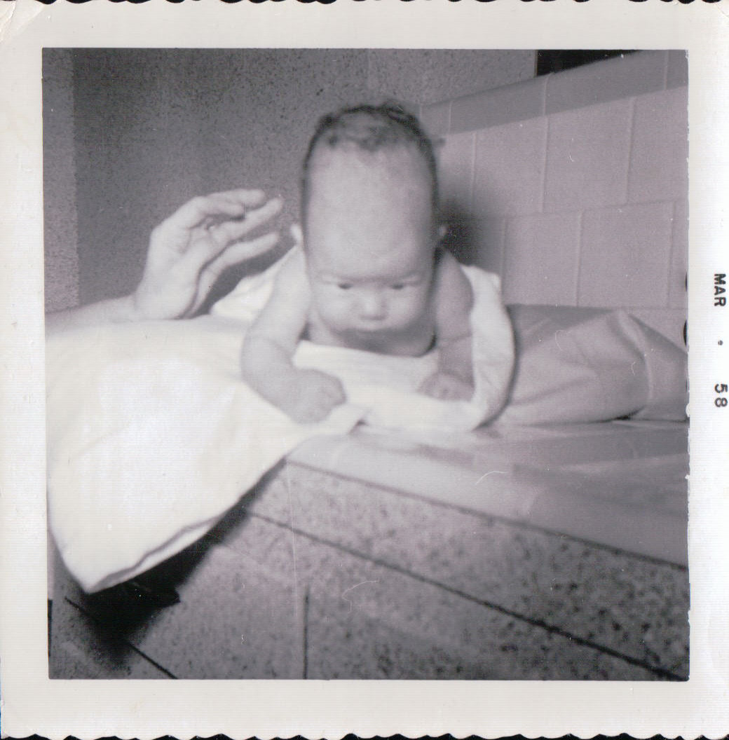 485.JPG  by Terry Kelly Photography