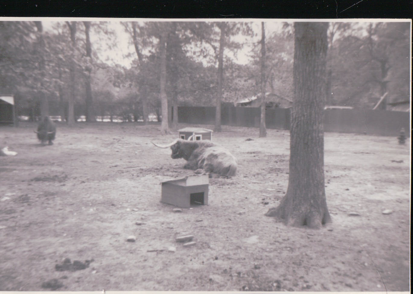 249.JPG  by Terry Kelly Photography