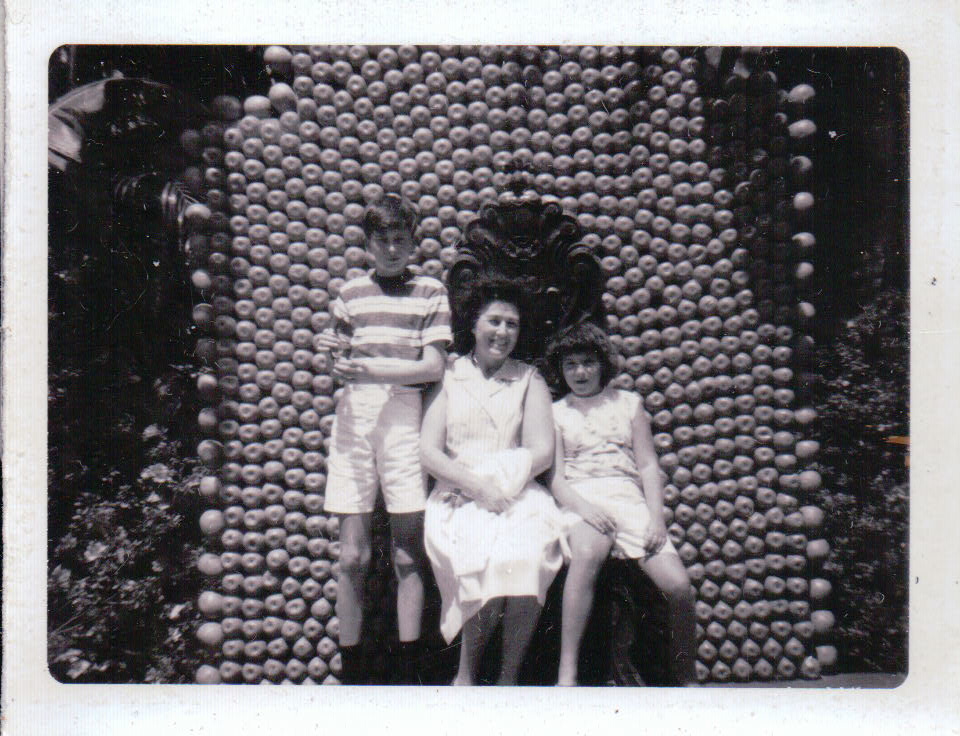 393.JPG  by Terry Kelly Photography