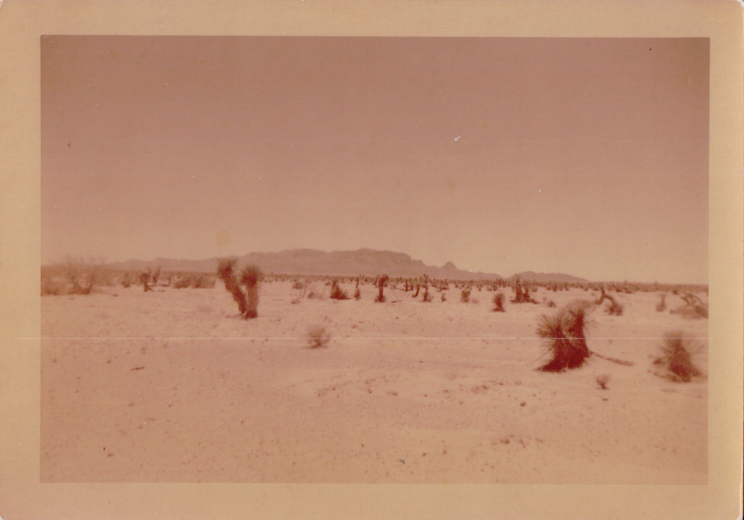 1058.JPG  by Terry Kelly Photography