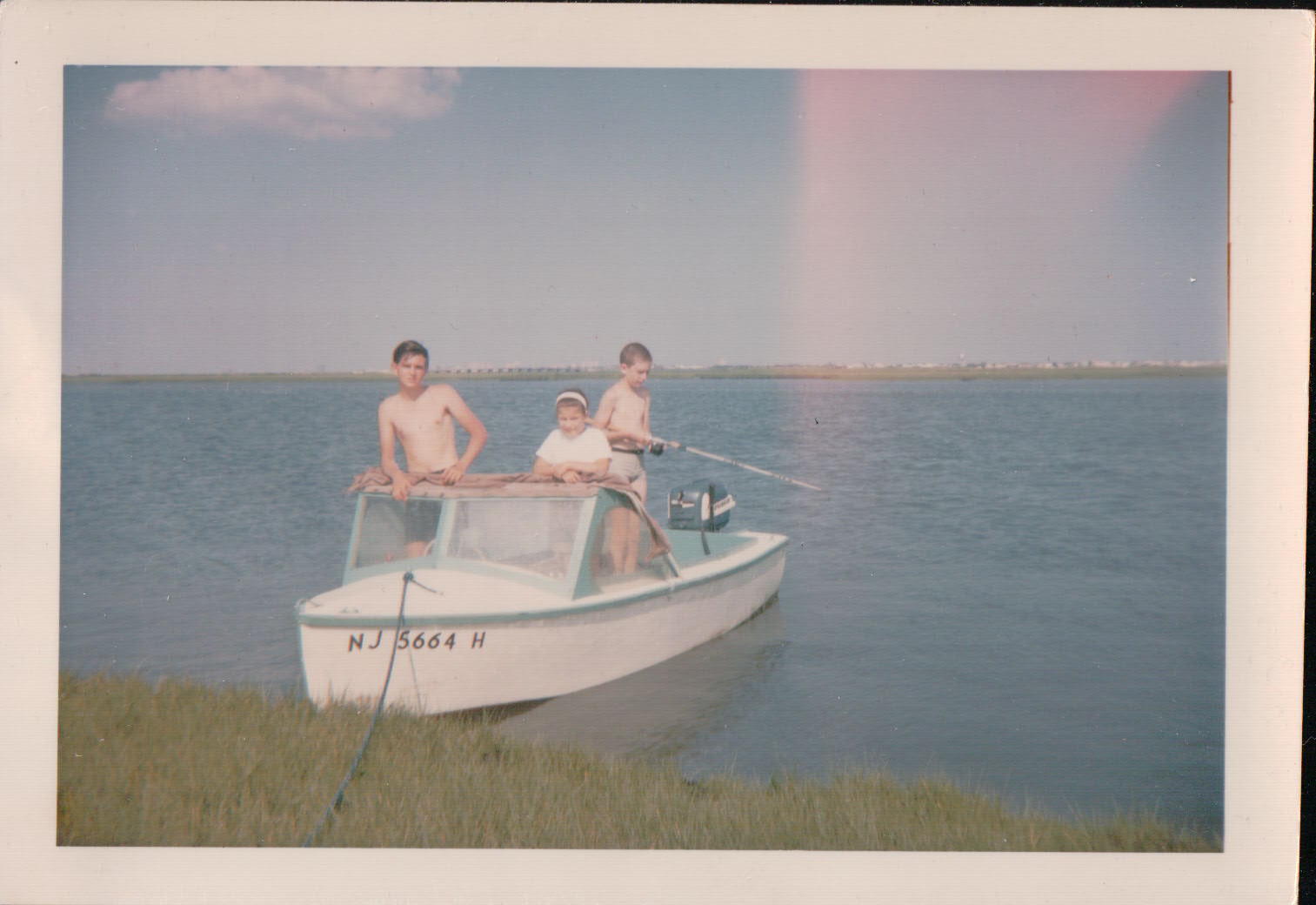 989.JPG  by Terry Kelly Photography