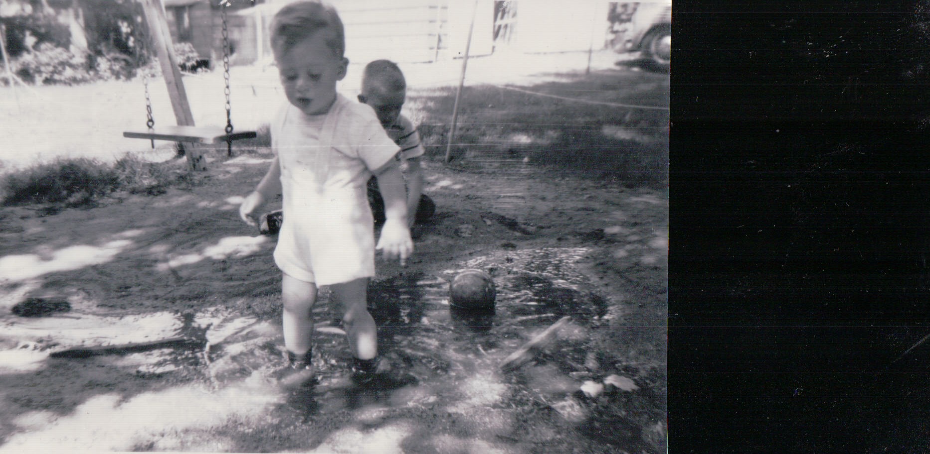 674.JPG  by Terry Kelly Photography