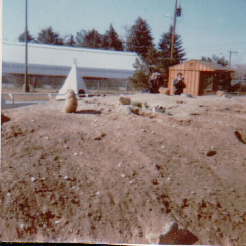 466.JPG  by Terry Kelly Photography