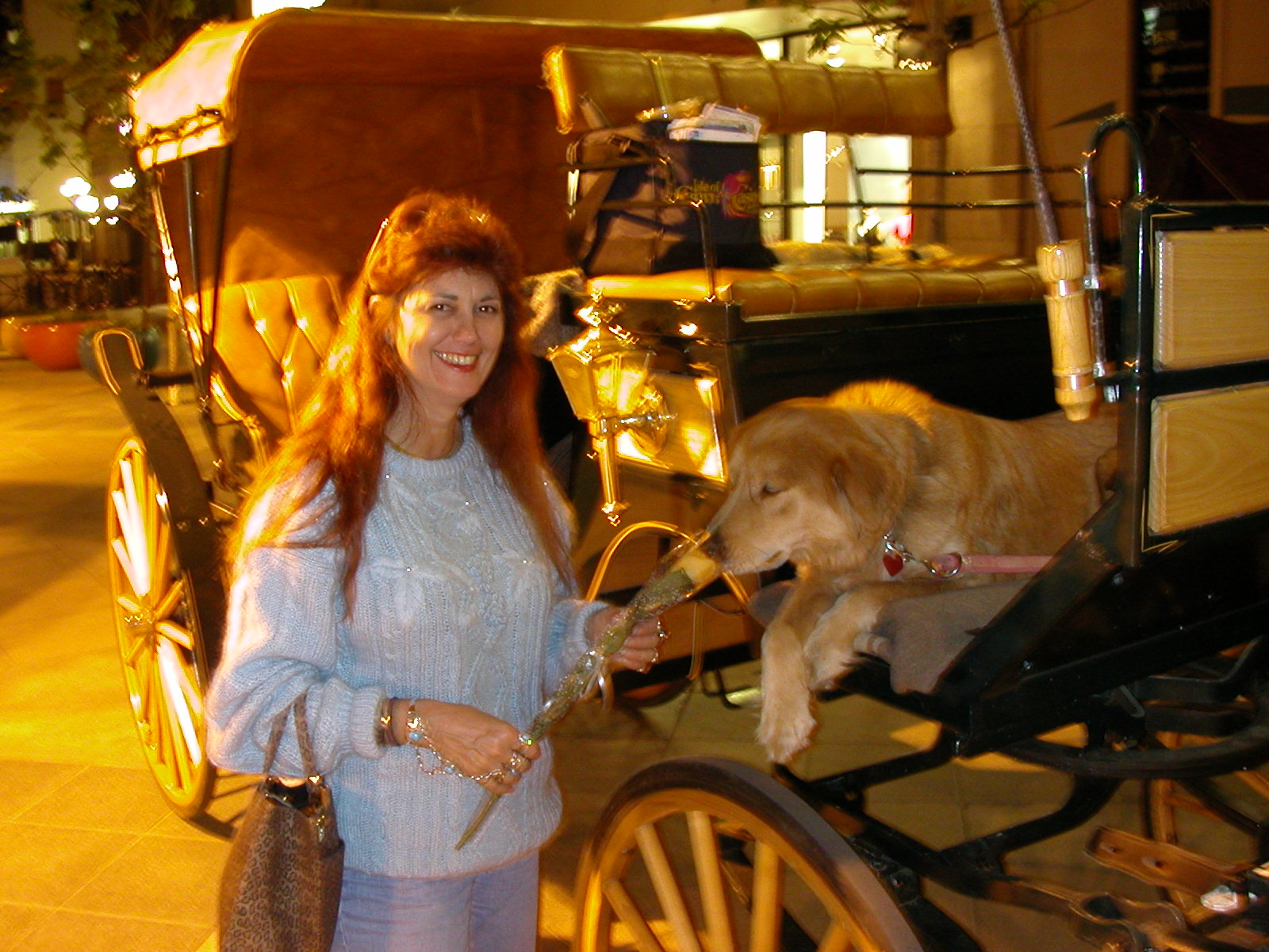                       by Terry Kelly Photography