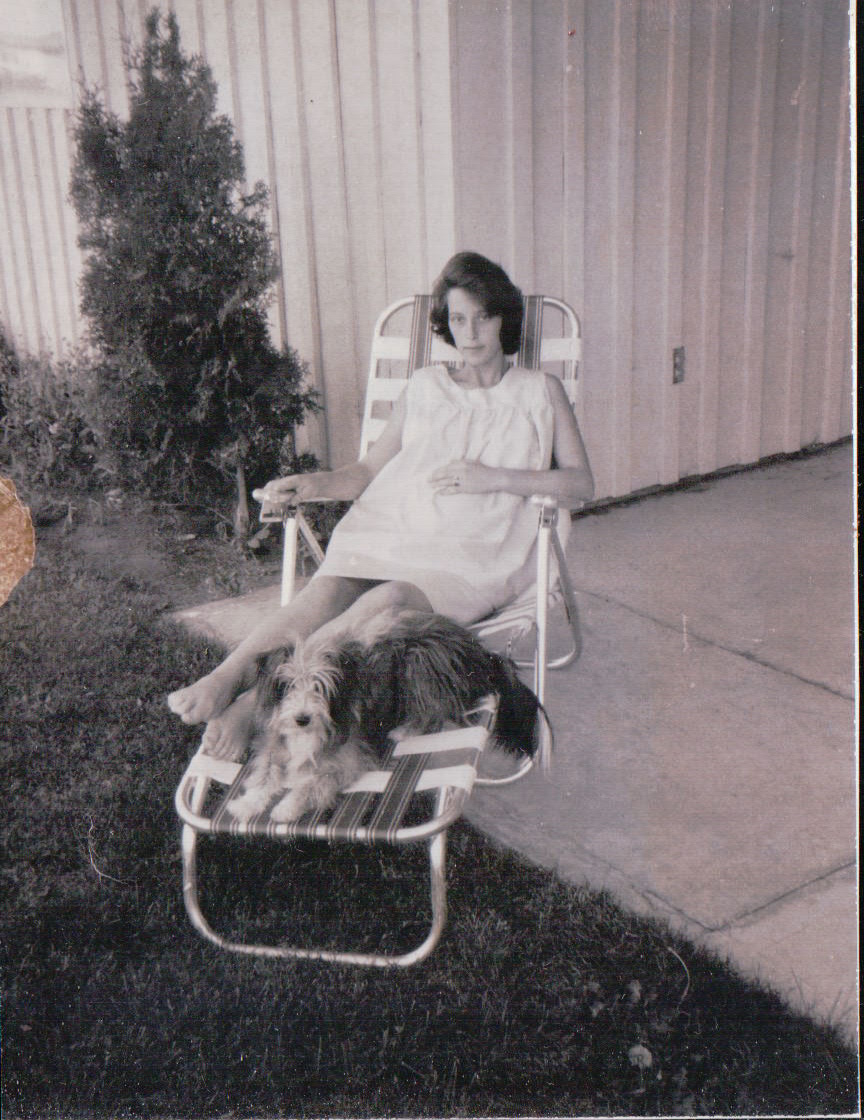 1012.JPG  by Terry Kelly Photography