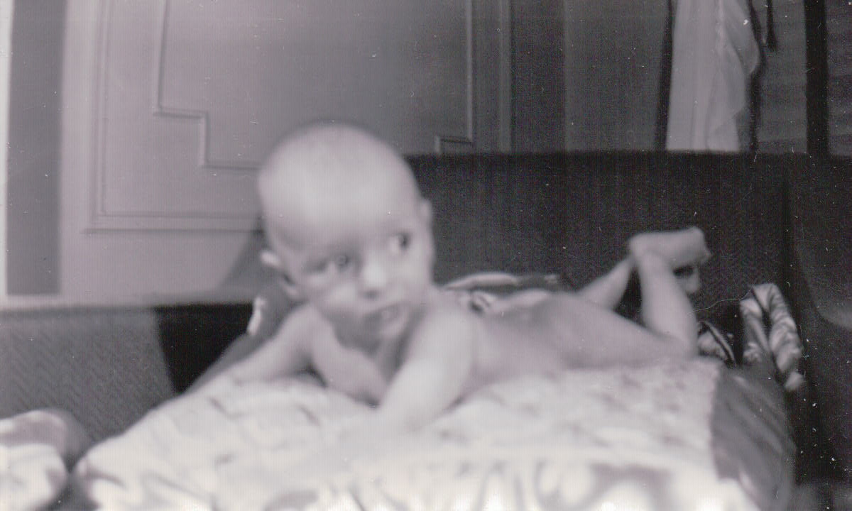 1081.JPG  by Terry Kelly Photography