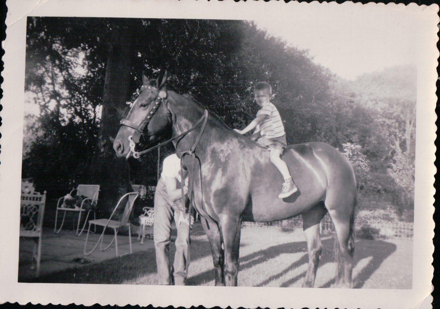 1141.JPG  by Terry Kelly Photography