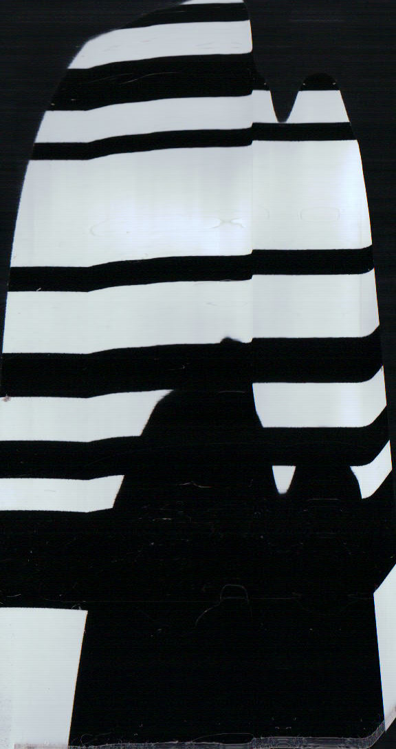 653.JPG  by Terry Kelly Photography