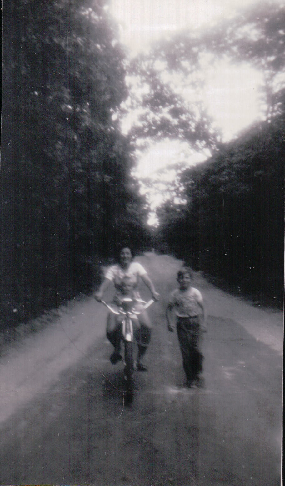 521.JPG  by Terry Kelly Photography