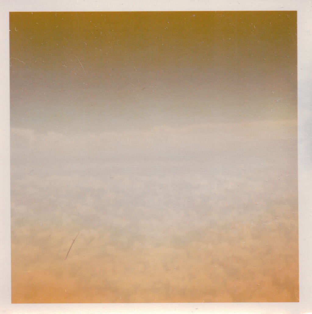 311.JPG  by Terry Kelly Photography