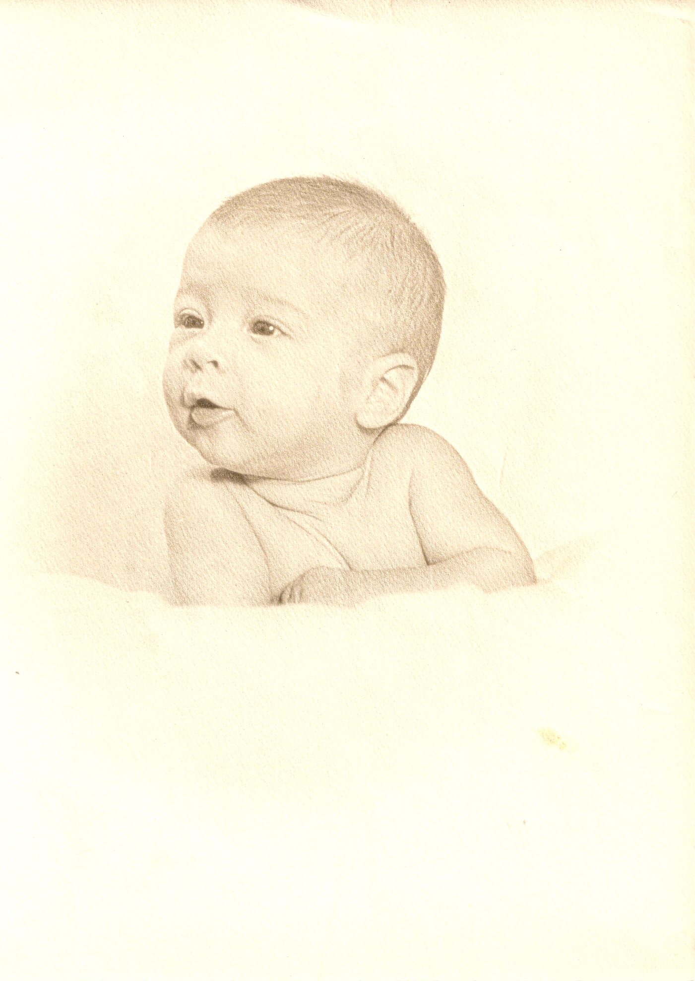 scan0014.jpg  by Terry Kelly Photography