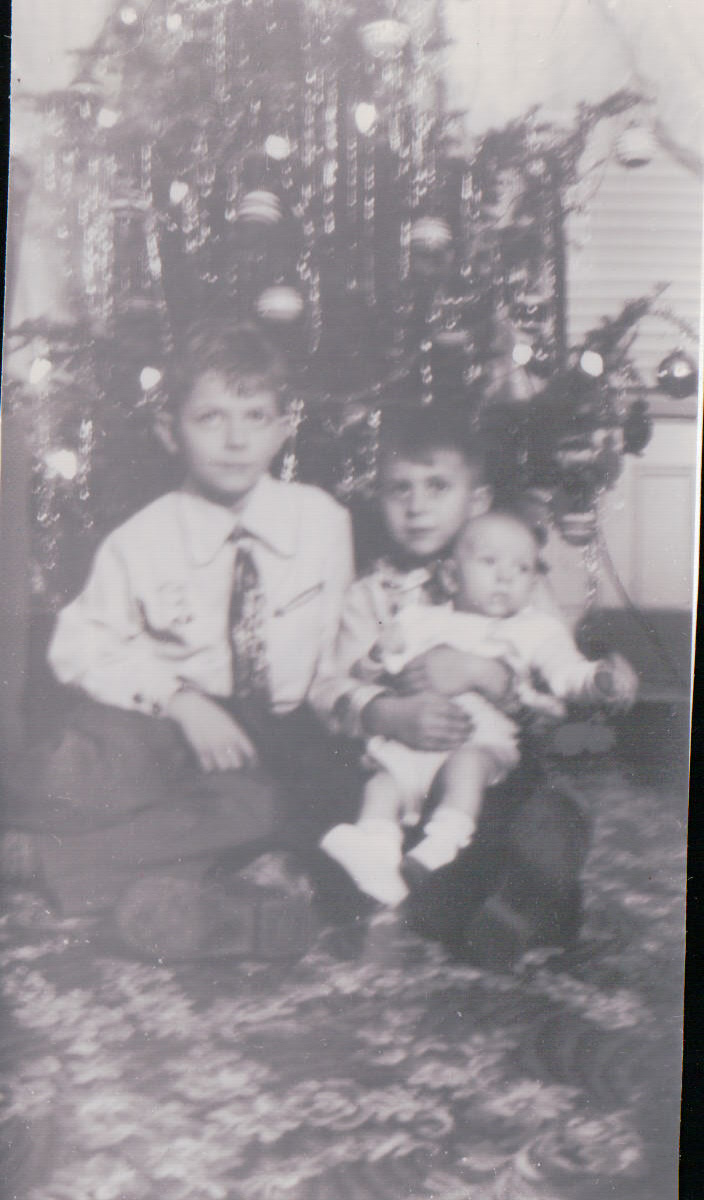 560.JPG  by Terry Kelly Photography