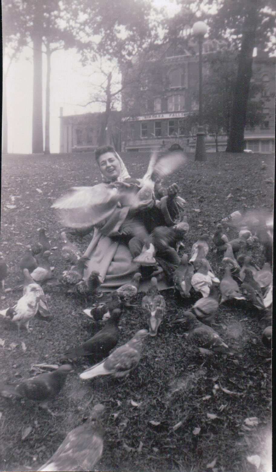 830.JPG  by Terry Kelly Photography