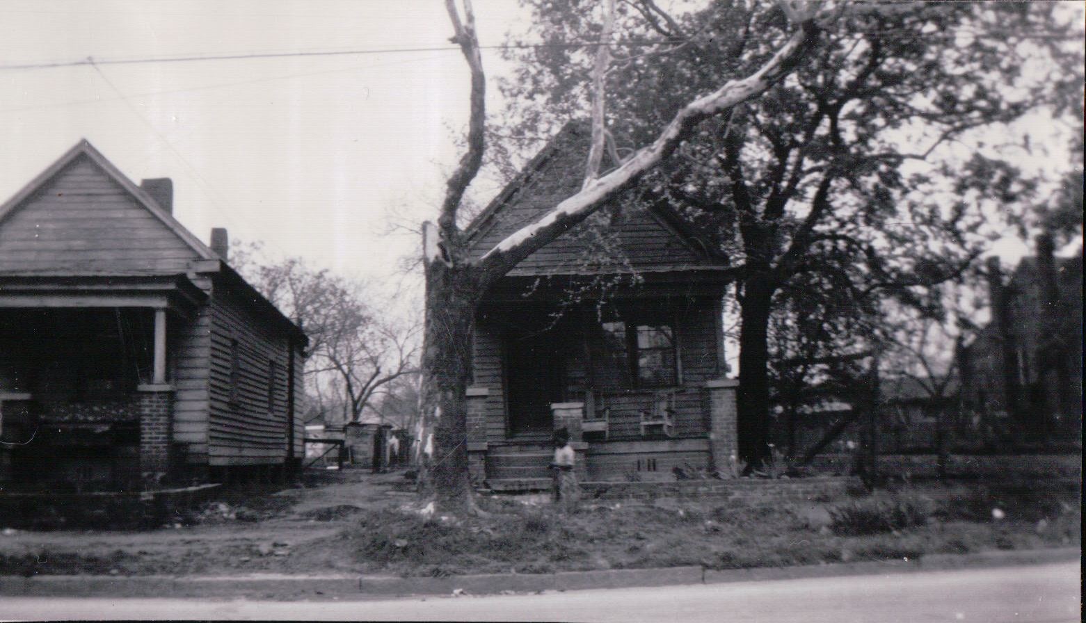 266.JPG  by Terry Kelly Photography